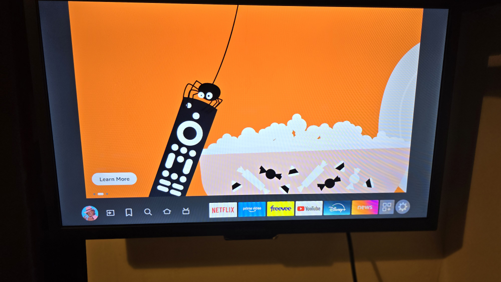 24 inch Insignia Fire TV - photo 3
