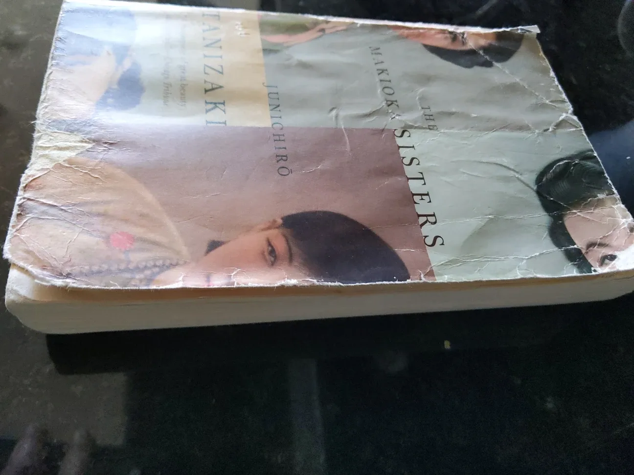 The Makioka Sisters by Junichiro Tanizaki image indicator(3)