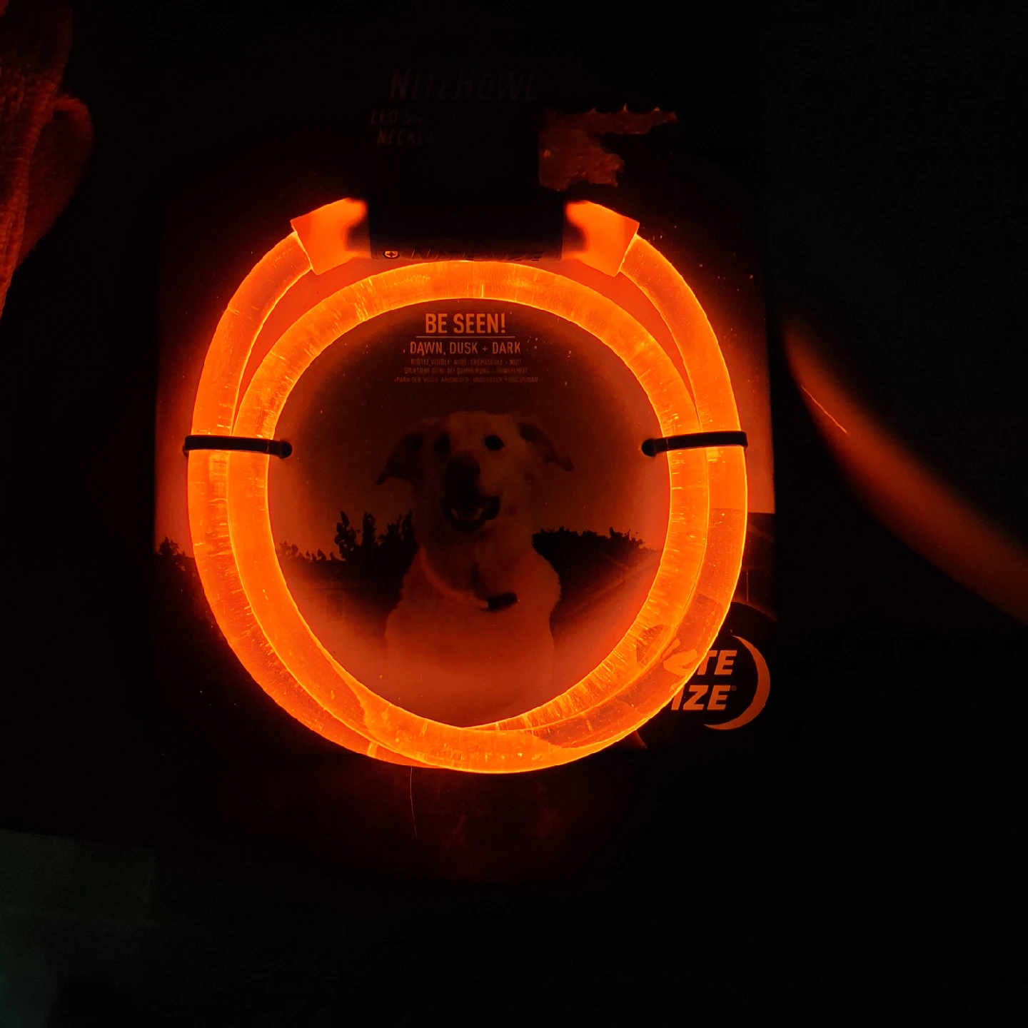 NiteHowl LED Safety Necklace - Dog Collar - photo 2