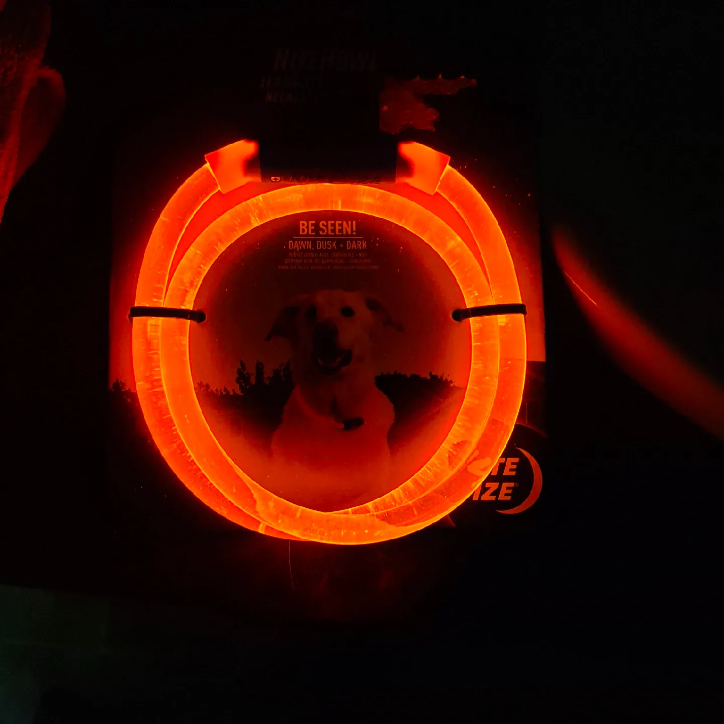 NiteHowl LED Safety Necklace - Dog Collar image indicator(2)