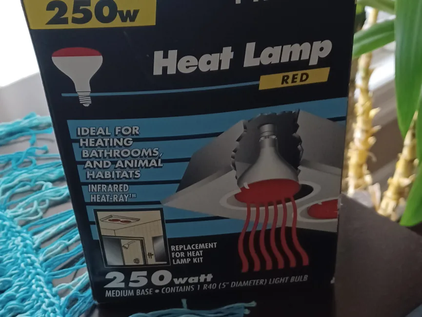 Philips 250W Red Heat Lamp Bulb image indicator(2)