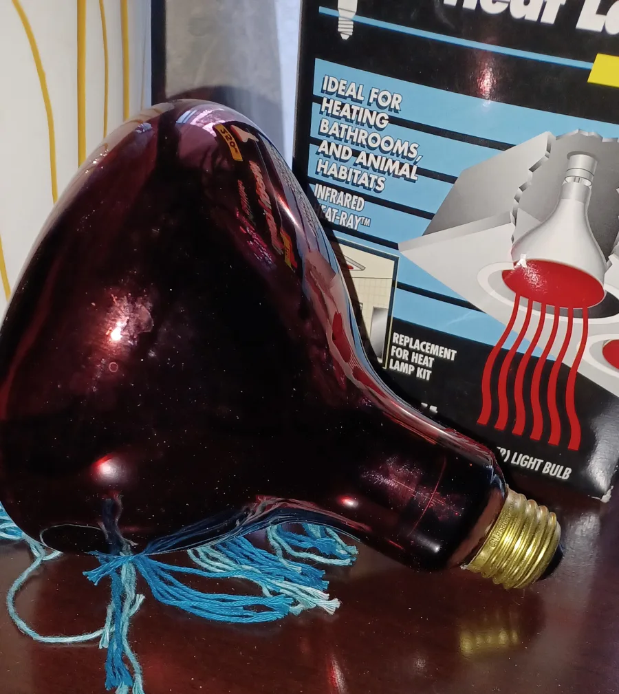 Philips 250W Red Heat Lamp Bulb image indicator(4)