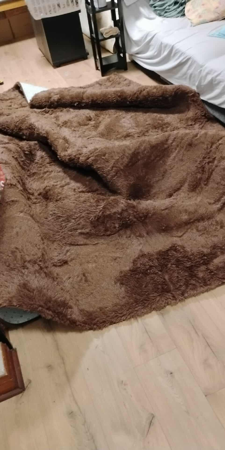 Brown Shag Rug - photo 5