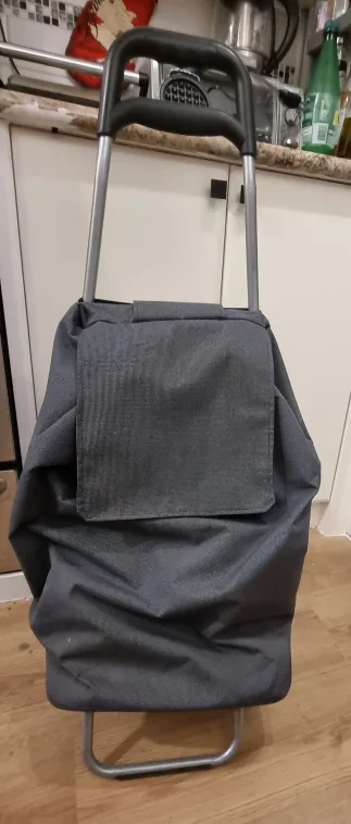 Grey Rolling Shopping Cart thumbnail