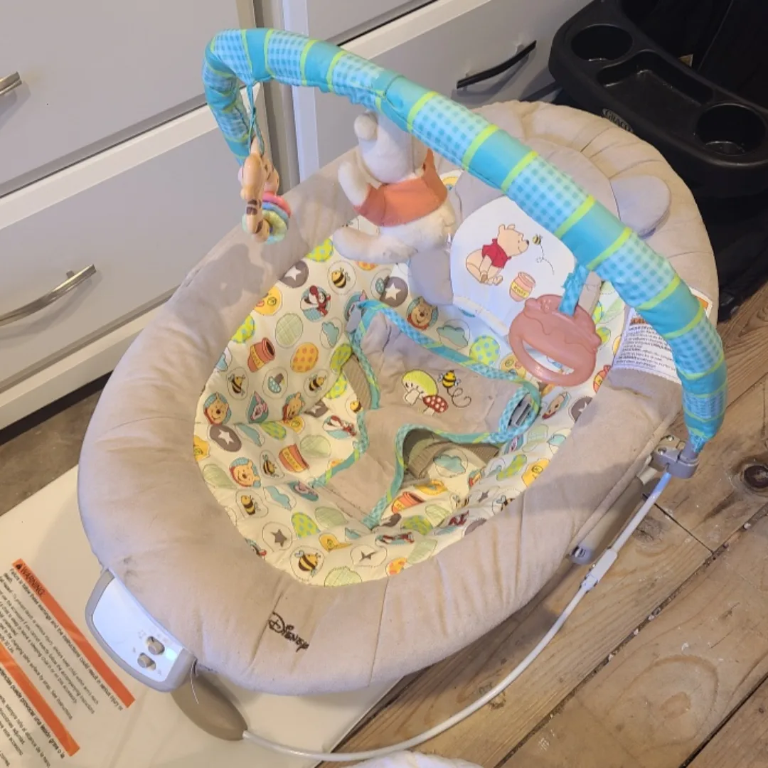 Disney Baby Winnie the Pooh Bouncer image indicator(2)