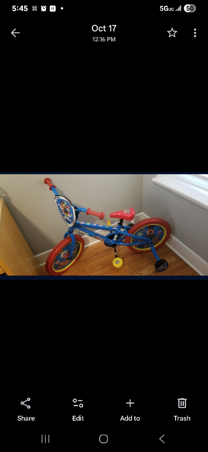 Paw Patrol Bike