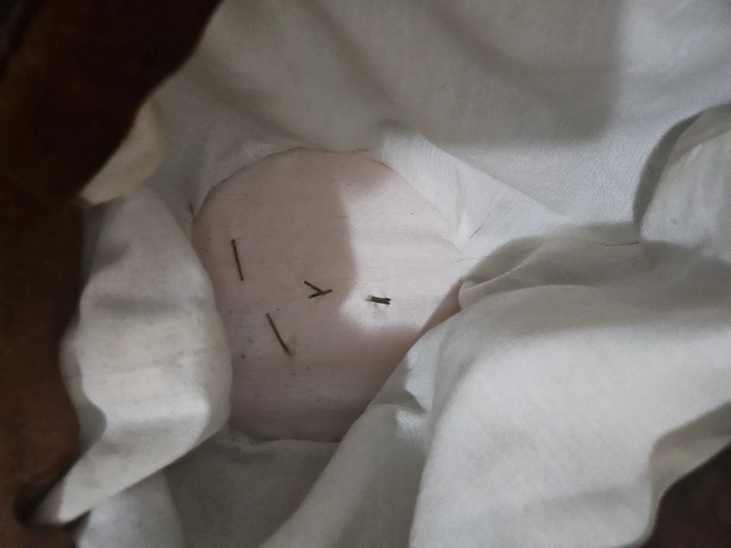 CIVIL WAR REENACTMENT COLLECTIBLES image indicator(7)