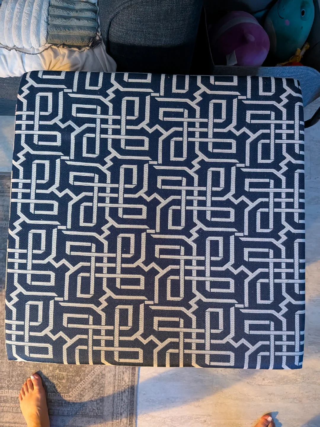 Storage Ottoman with Patterned Cushion image indicator(3)