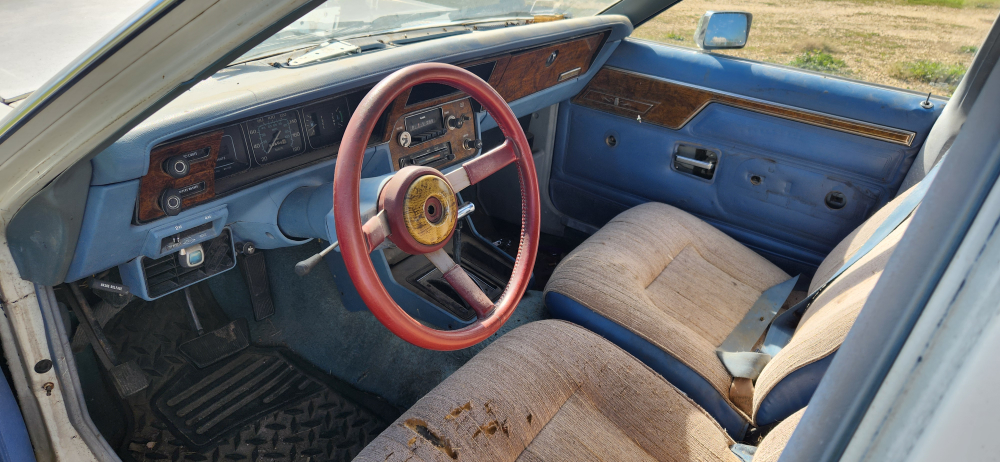 AMC Eagle Wagon - 1981 - photo 4