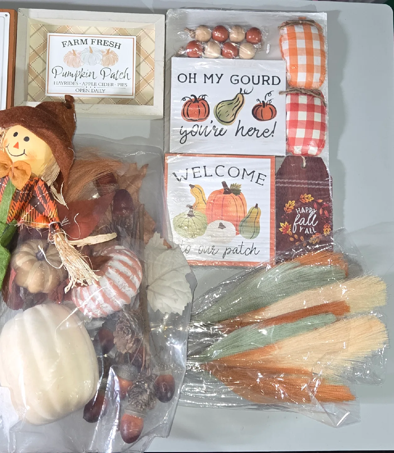 New Fall/Thanksgiving Decor Bundle - Lot A image indicator(3)