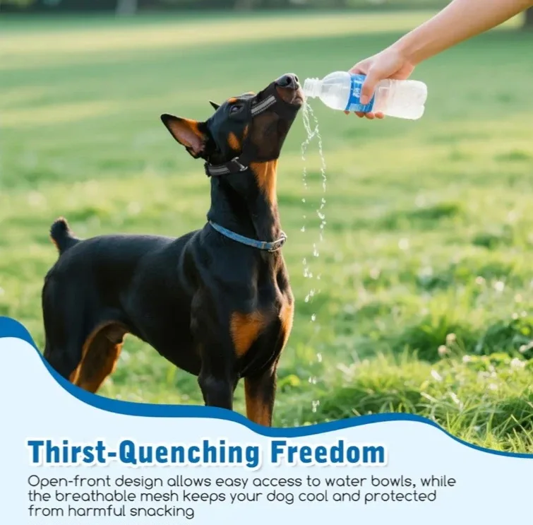 Dog Mesh Muzzle - Adjustable & Breathable - Size M image indicator(5)