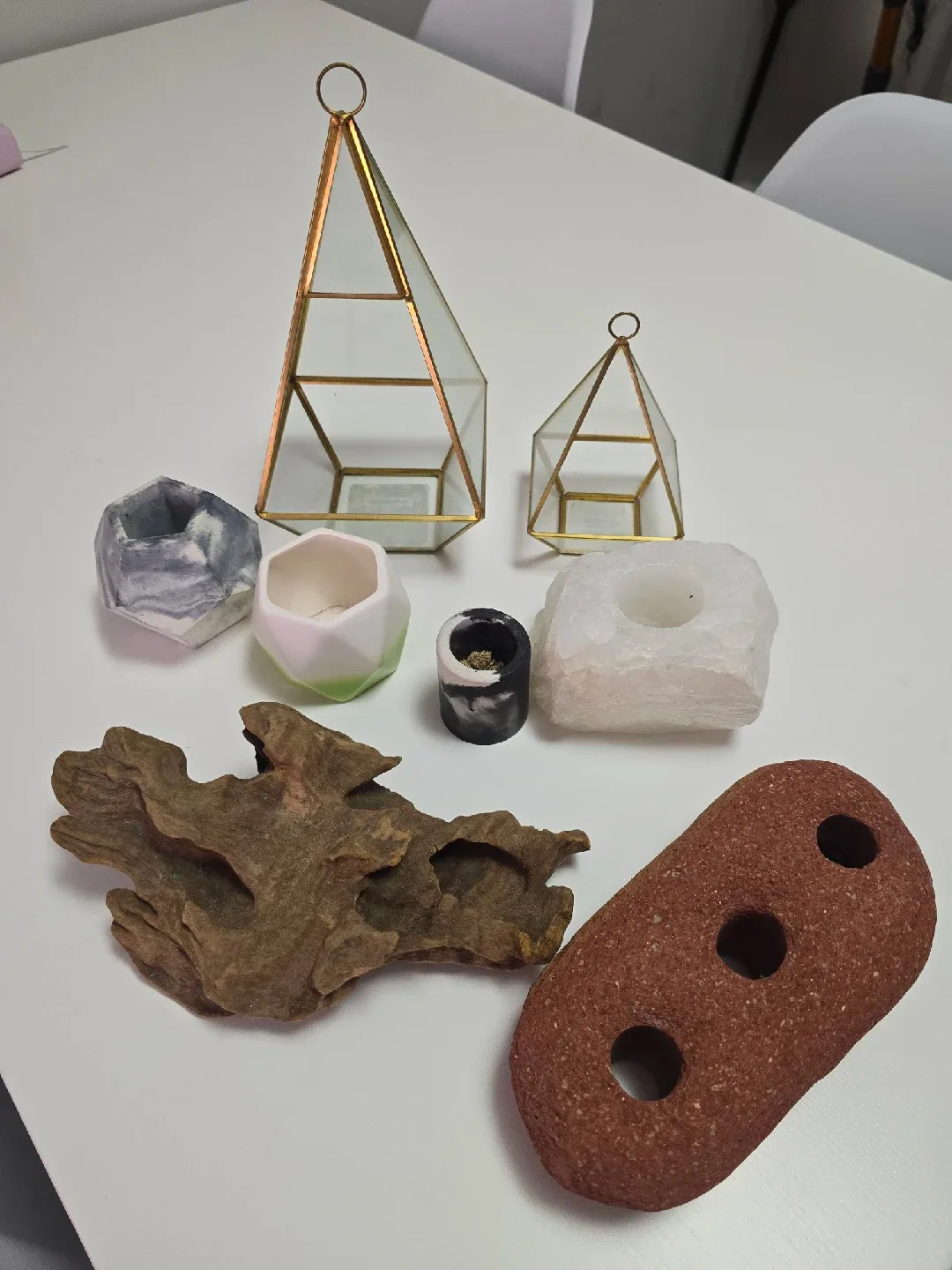 Various Airplants and Holders image indicator(2)