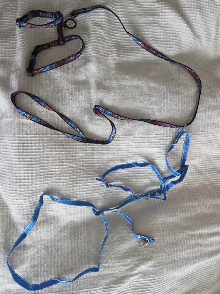 🐾 Free Pet Leashes – With Smart QR Tag for Lost Pets!