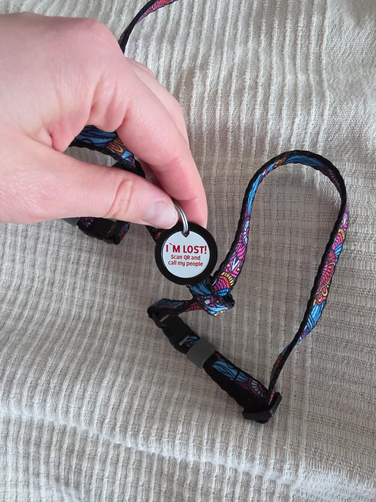 🐾 Free Pet Leashes – With Smart QR Tag for Lost Pets! image indicator(2)