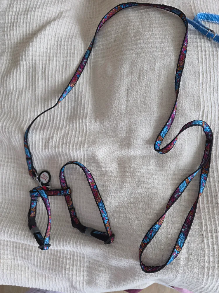 🐾 Free Pet Leashes – With Smart QR Tag for Lost Pets! image indicator(3)