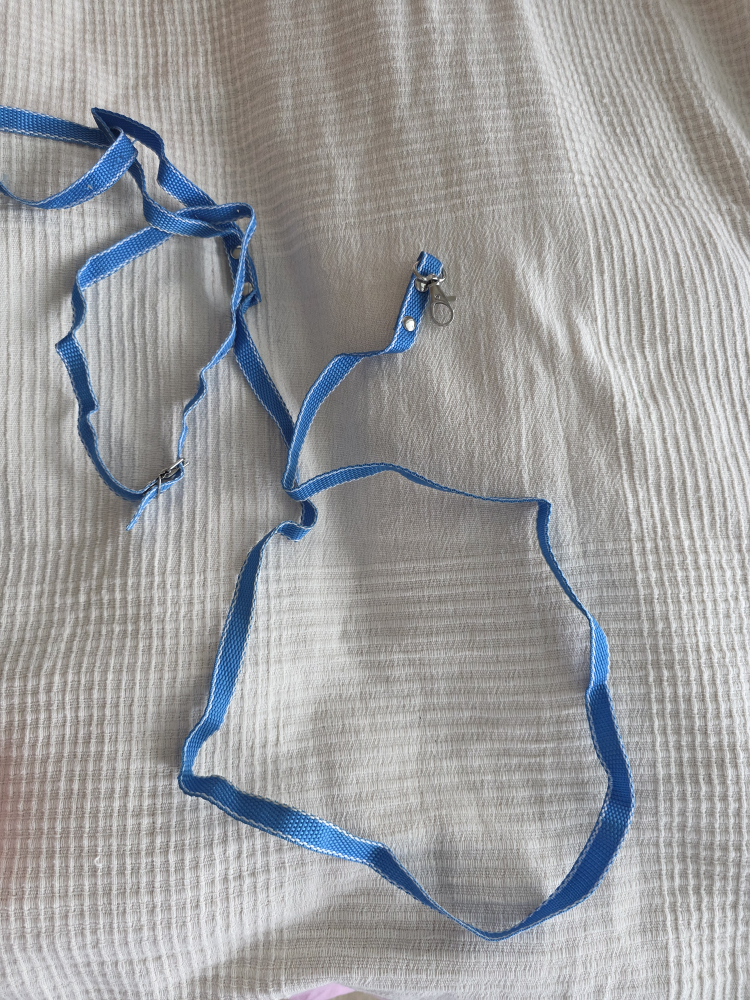 🐾 Free Pet Leashes – With Smart QR Tag for Lost Pets! - photo 4