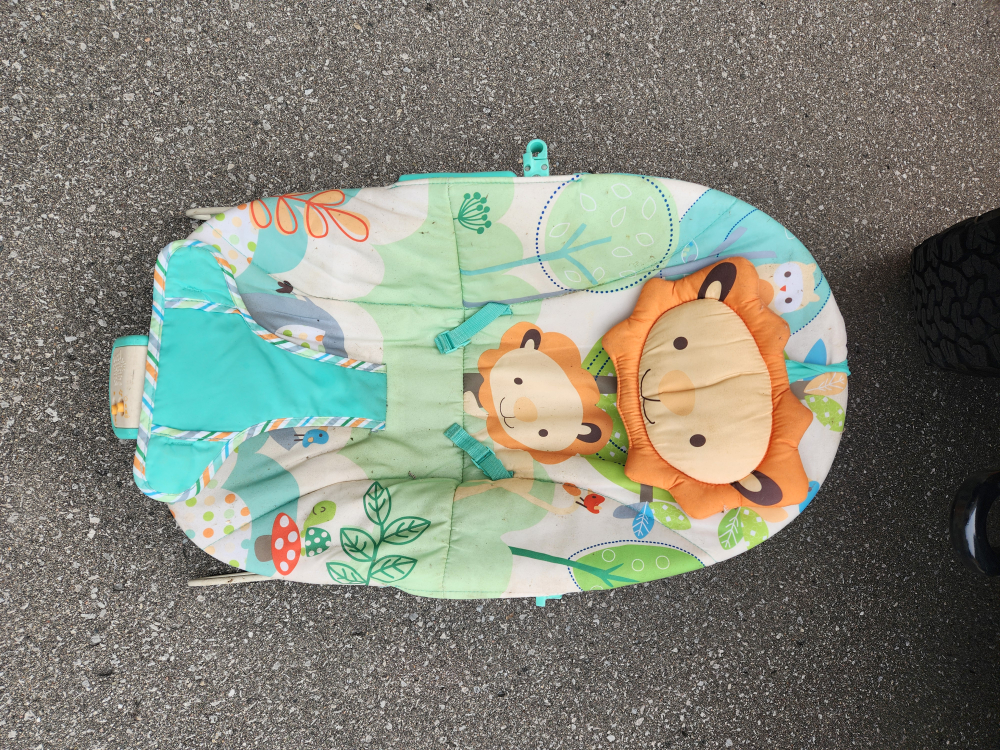 Fisher-Price Baby Bouncer Seat