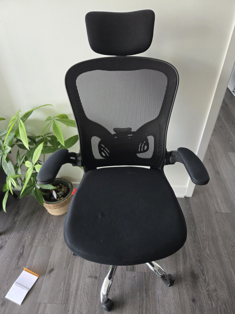 Moveout Sale - Ergonomic Mesh Office Chair - Black
