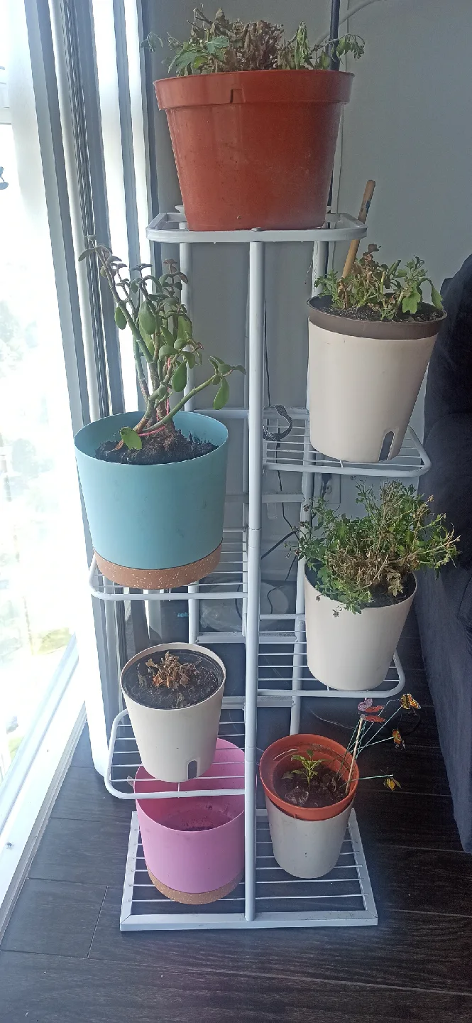 White Metal Plant Stand with self watering pots image indicator(2)