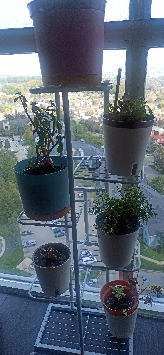 White Metal Plant Stand with self watering pots image indicator(3)