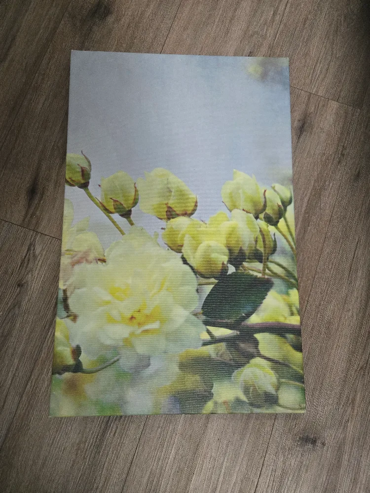 IKEA Canvas Art  🥕 thumbnail