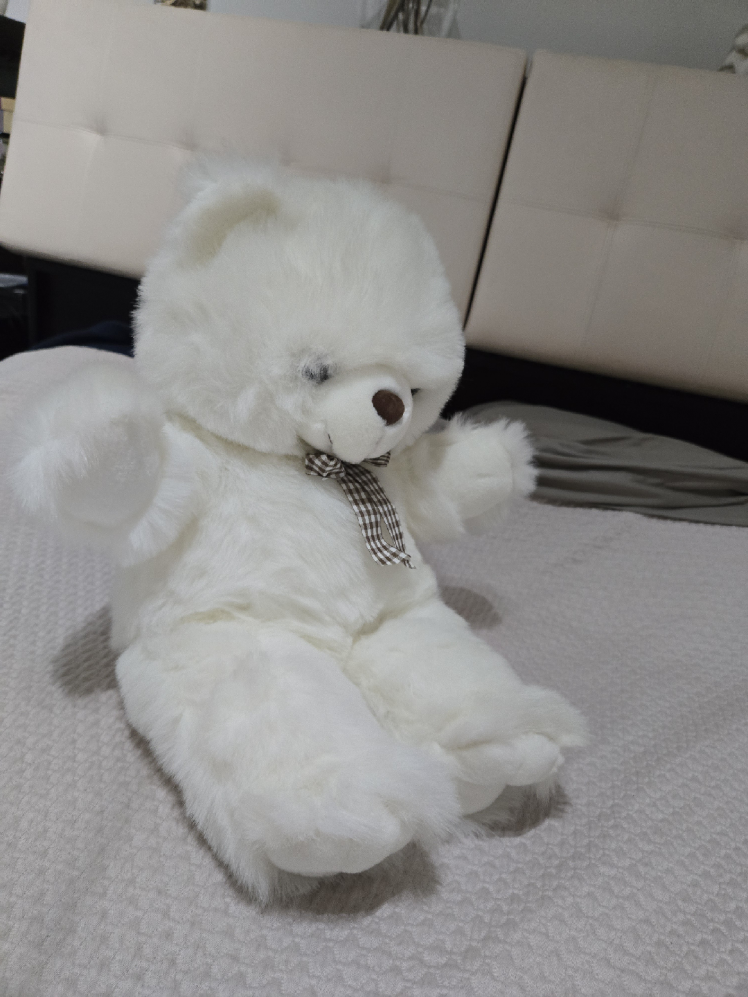 White Teddy Bear with Bow