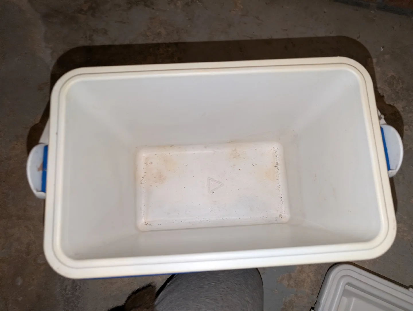 Escort Cooler - Blue and White image indicator(4)