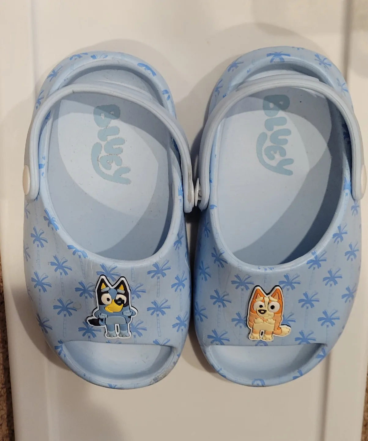 Bluey Clogs - Size 8 image indicator(2)