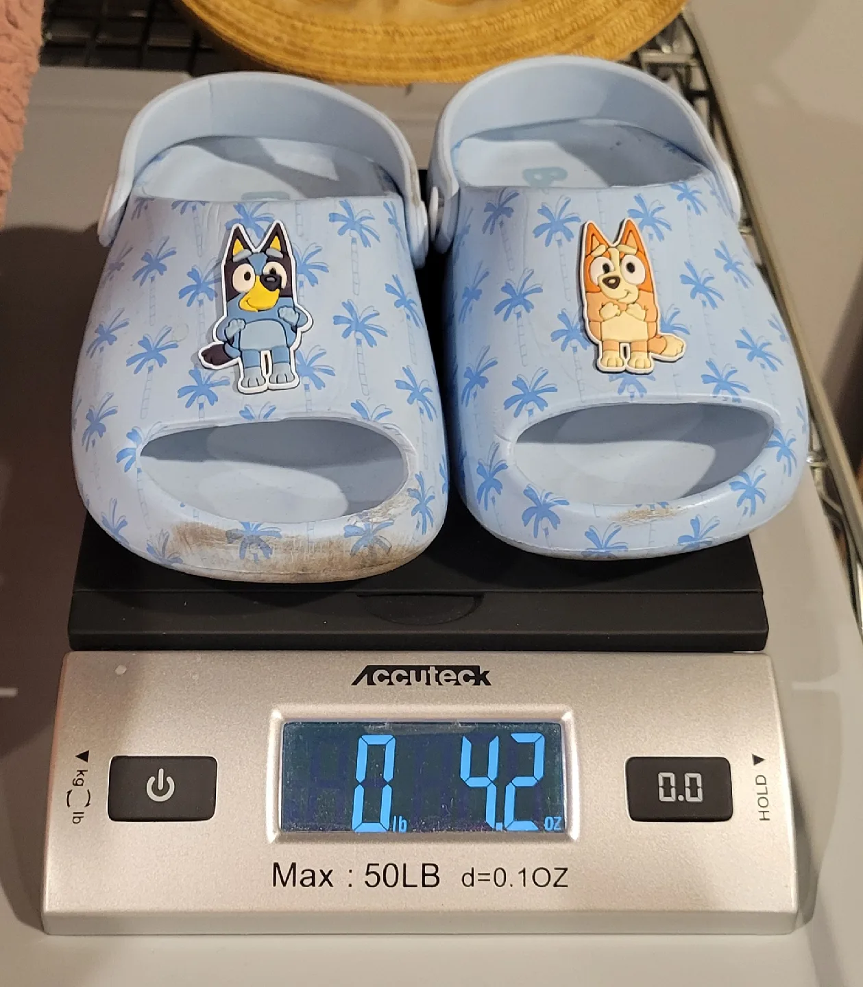 Bluey Clogs - Size 8 image indicator(6)