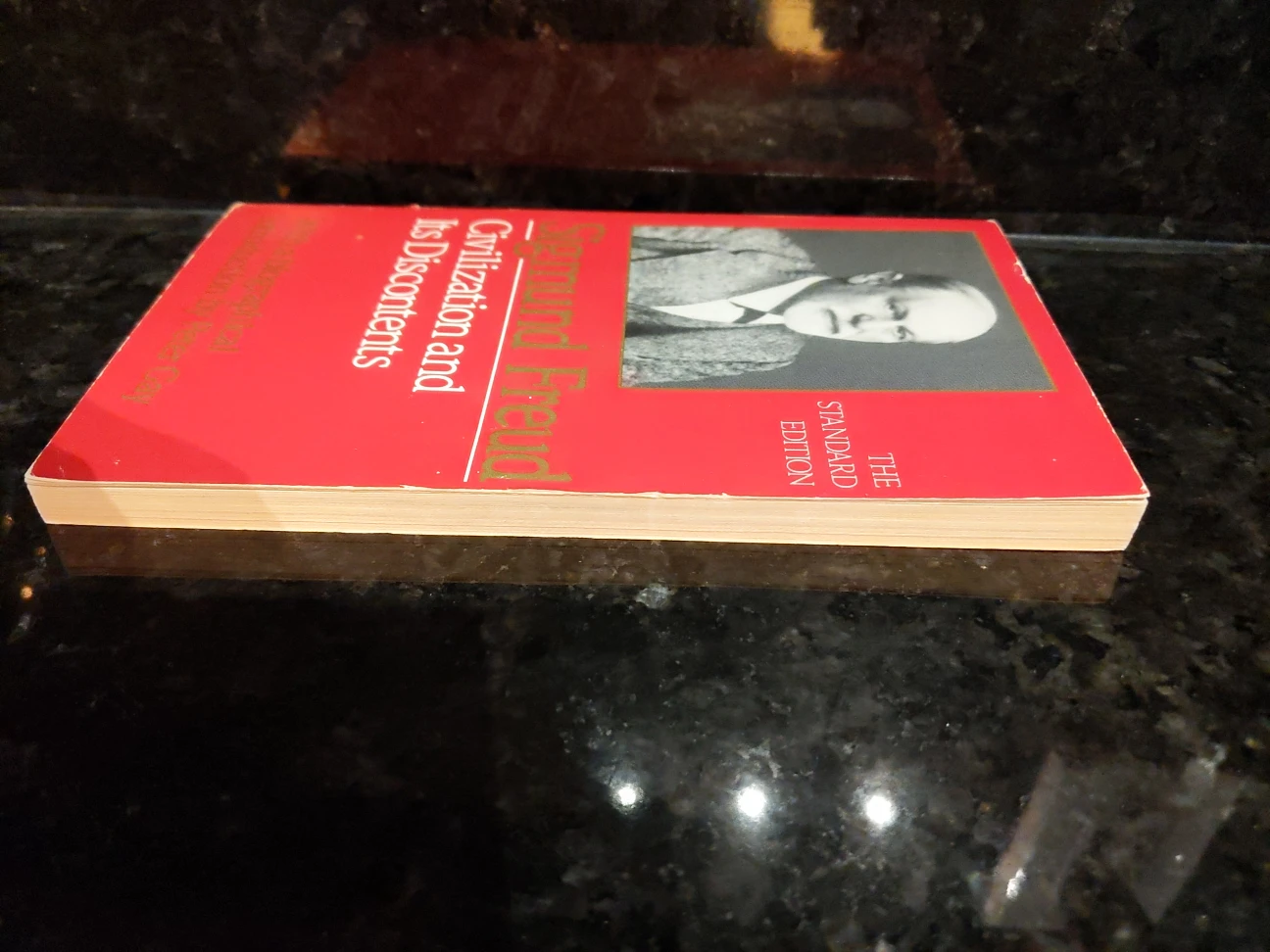 Civilization and Its Discontents by Sigmund Freud - photo 3