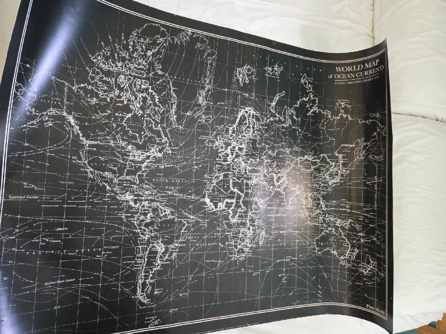 Free Large Print -  World Map image indicator(2)