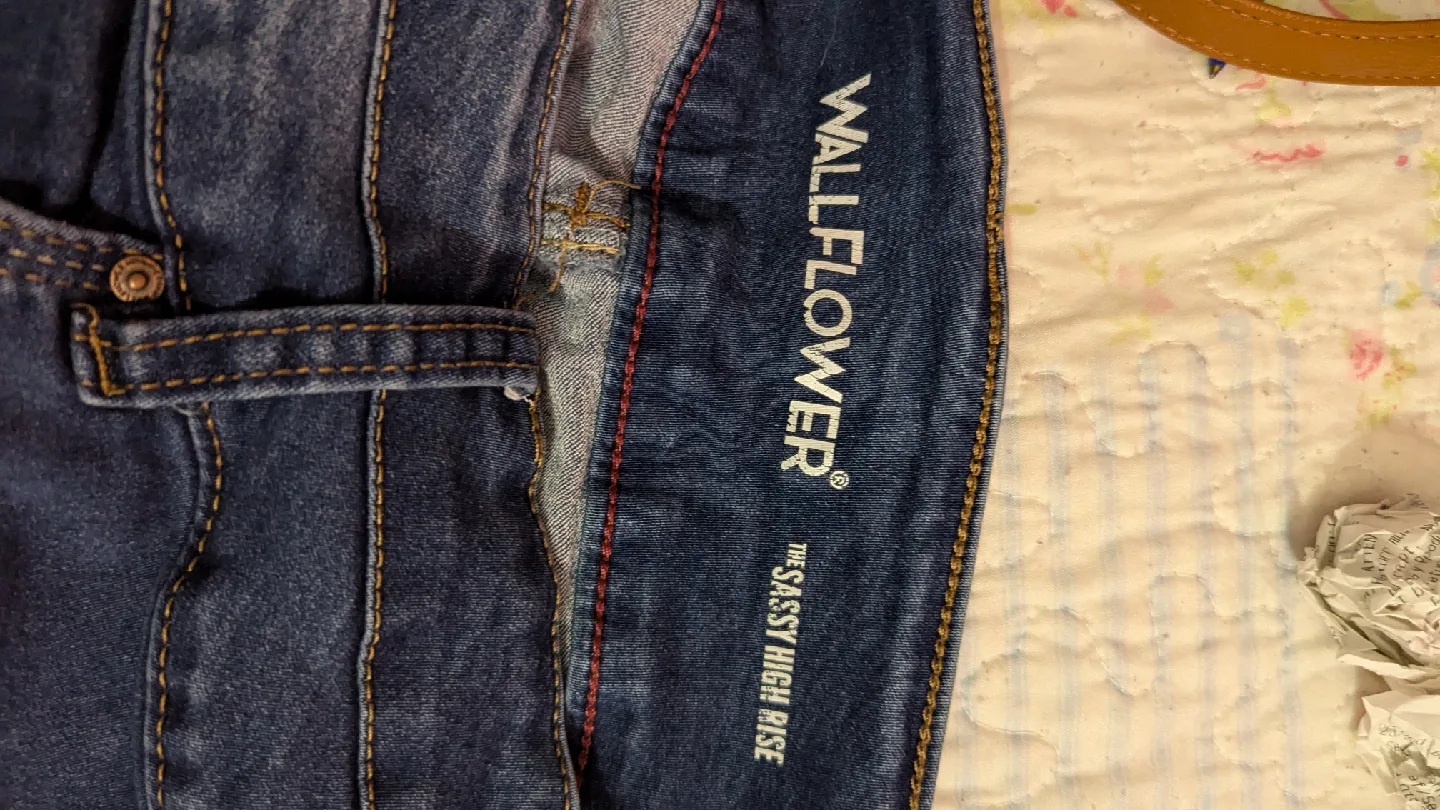 Wallflower Sassy High Rise Jeans - Size 22 image indicator(2)