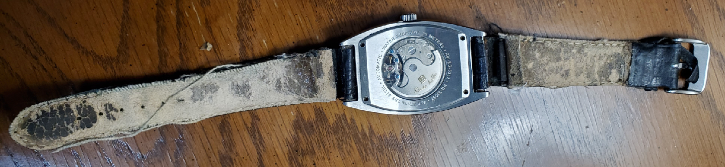 Louis Bolle Automatic Watch (Vintage) - photo 4
