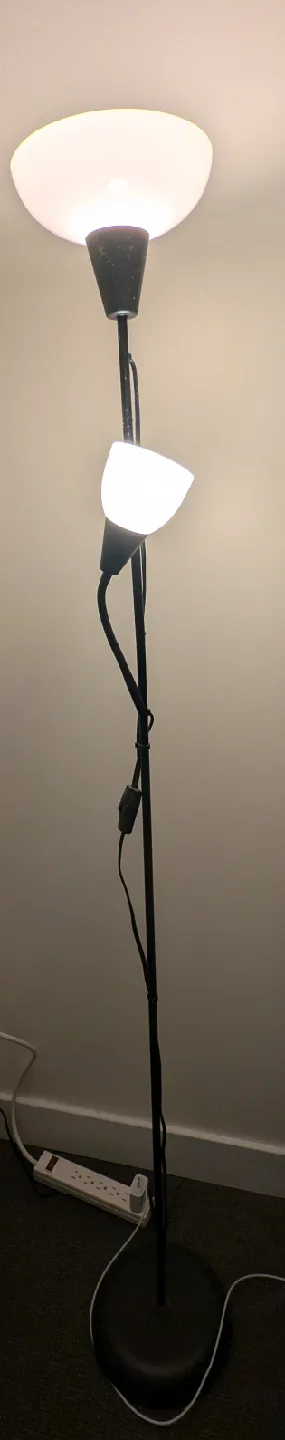 Black Floor Lamp with Adjustable Reading Light