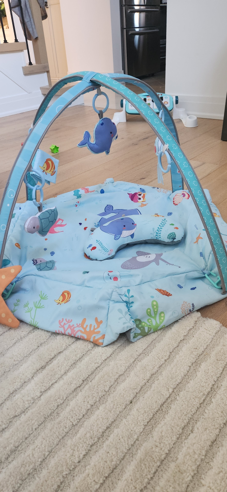 Baby Activity Gym Play Mat