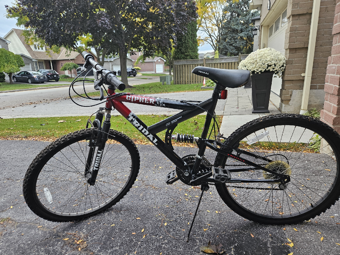 Tribal Cipher Mountain Bike-12 speed