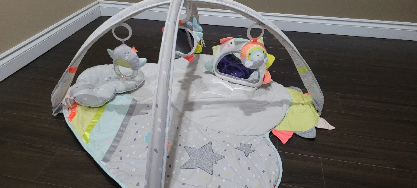 Skip hop Baby Play Mat with Activity Gym - photo 3