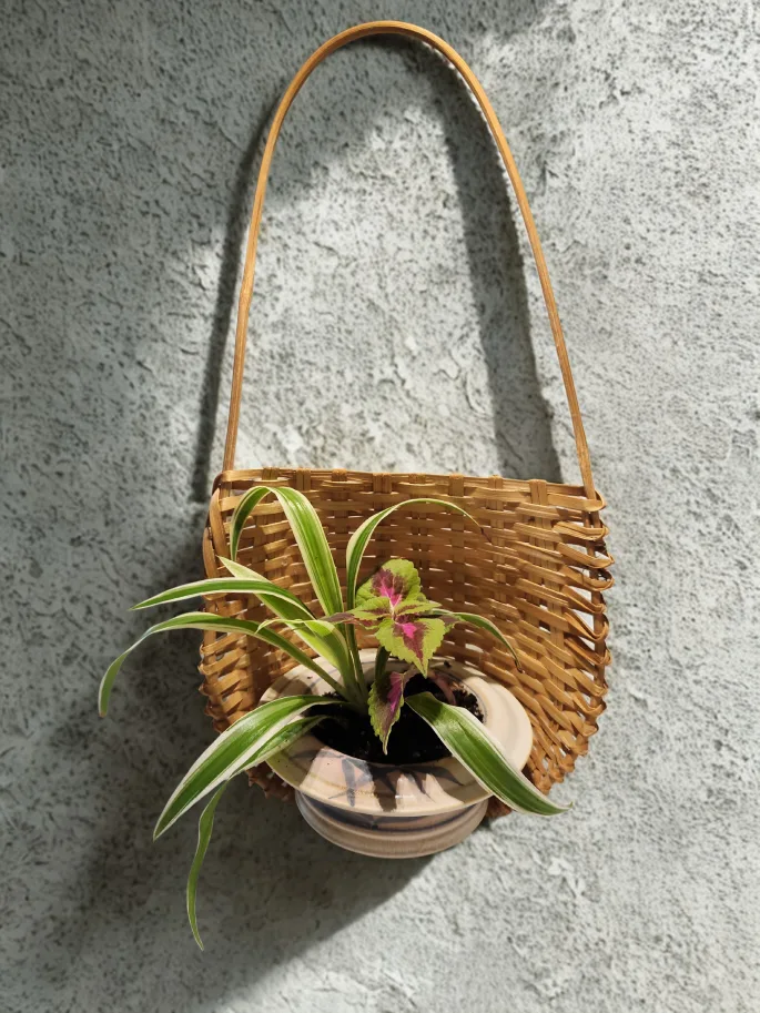 Hanging Wicker Basket with Potted Plant thumbnail