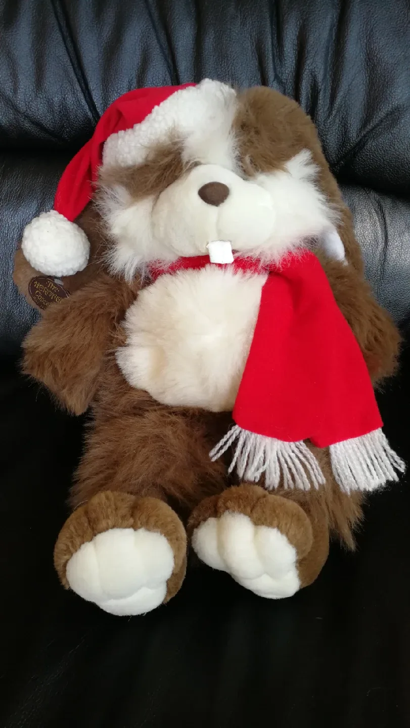 Assorted Plush Toys $3-10 each image indicator(2)