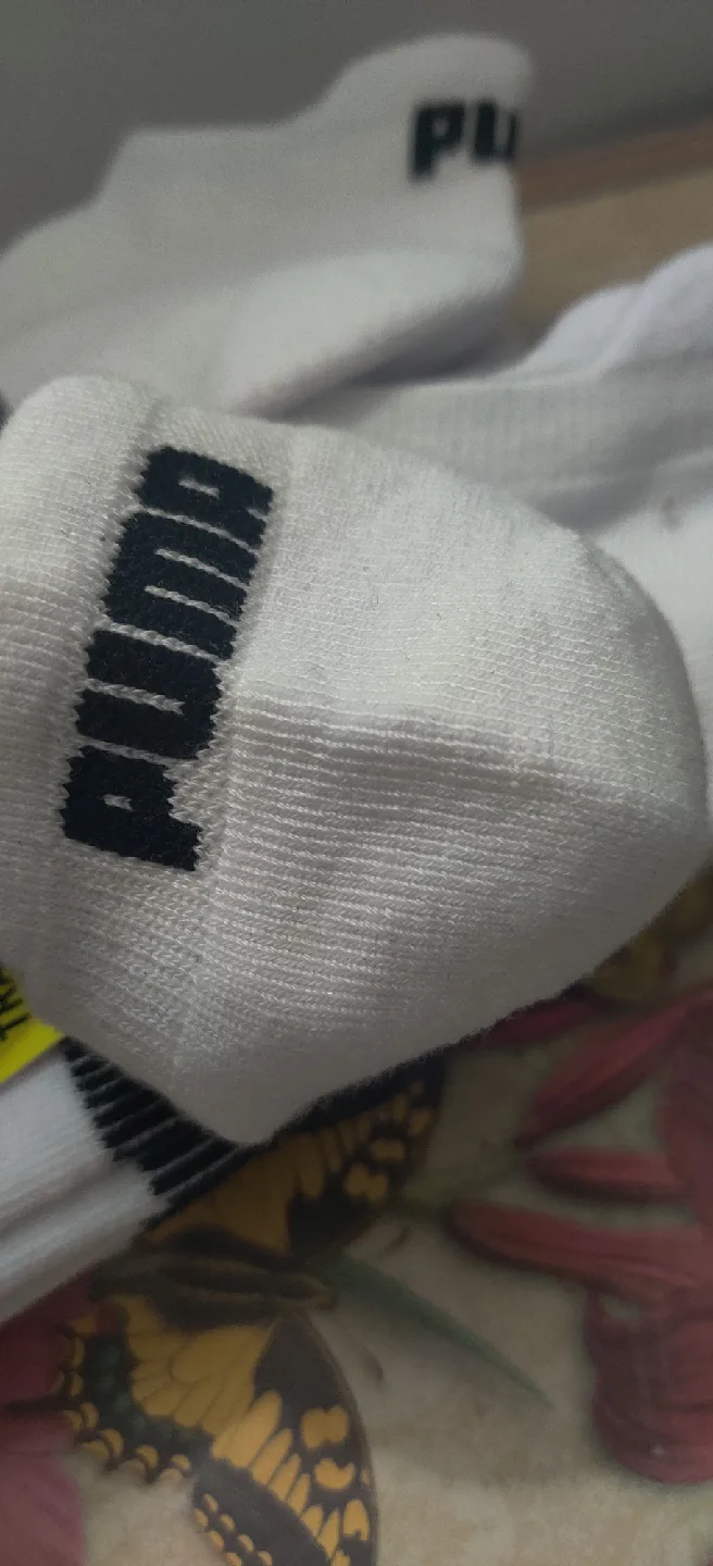 Puma Women's Low Cut Training Socks, Size 9-11, 6 Pairs image indicator(5)