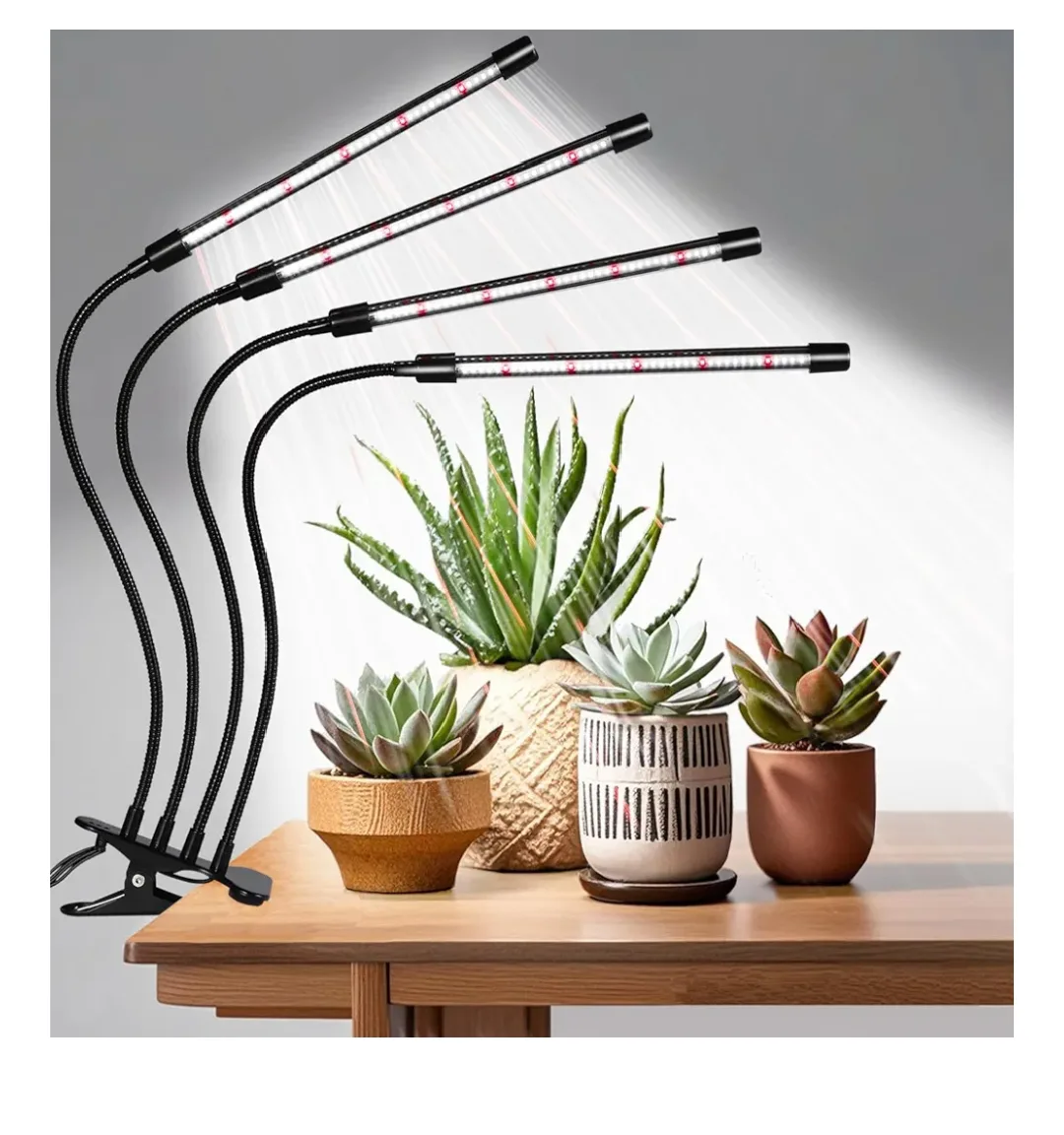 Grow Lights for Indoor Plants thumbnail