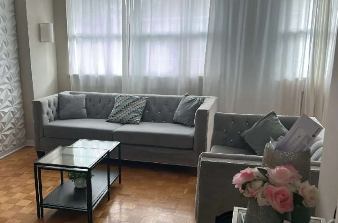 Living Room Furniture Set image indicator(2)