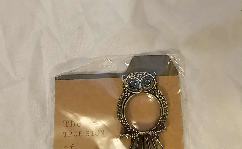 Gold and Black Giftcraft Owl 5x Magnifying Bookmark image indicator(2)