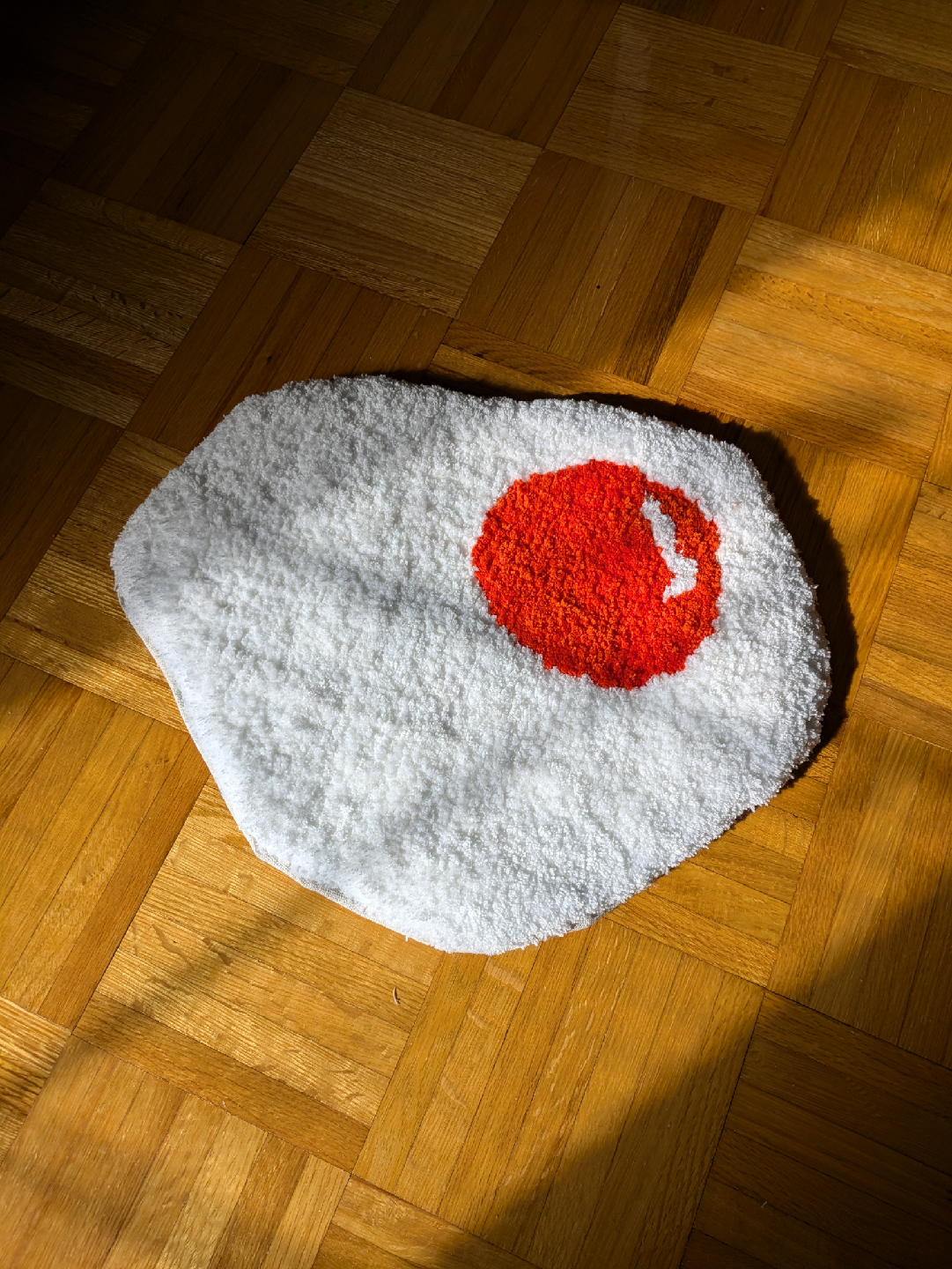 Homemade egg carpet/rug