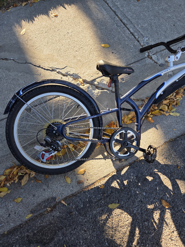 tag along bike