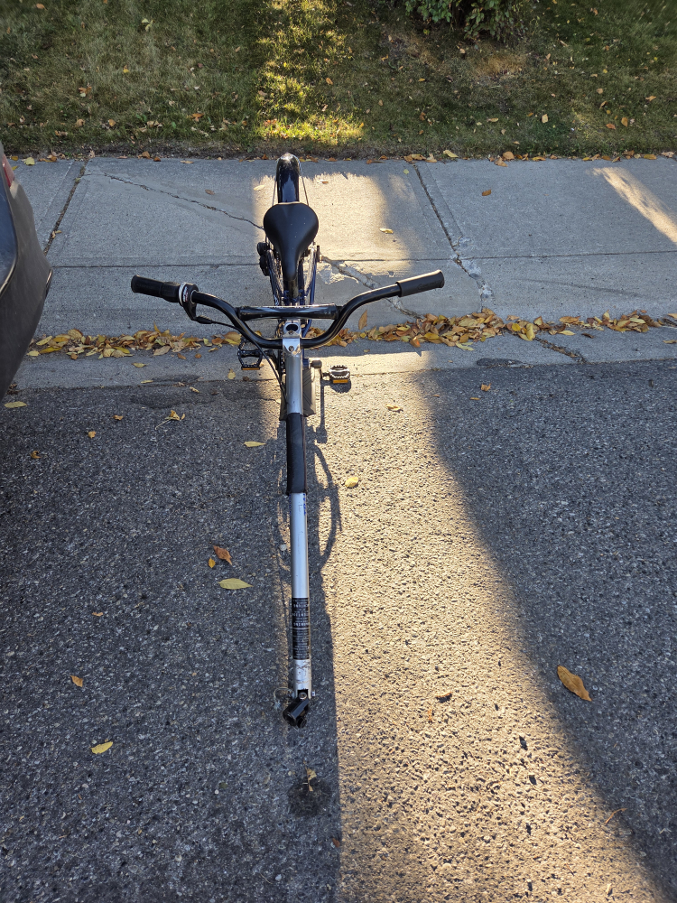 tag along bike - photo 2