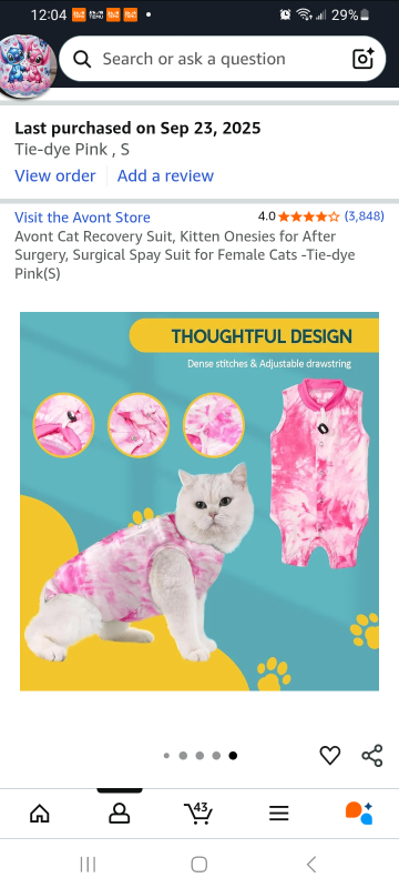 kitten surgical recovery bodysuit - photo 5