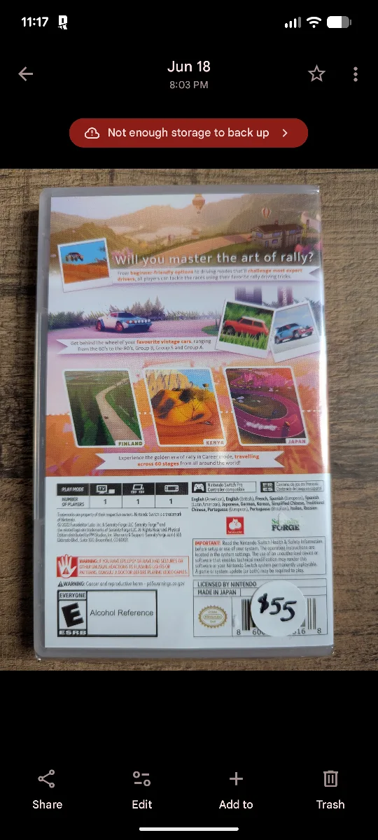 Nintendo switch Art of Rally image indicator(2)