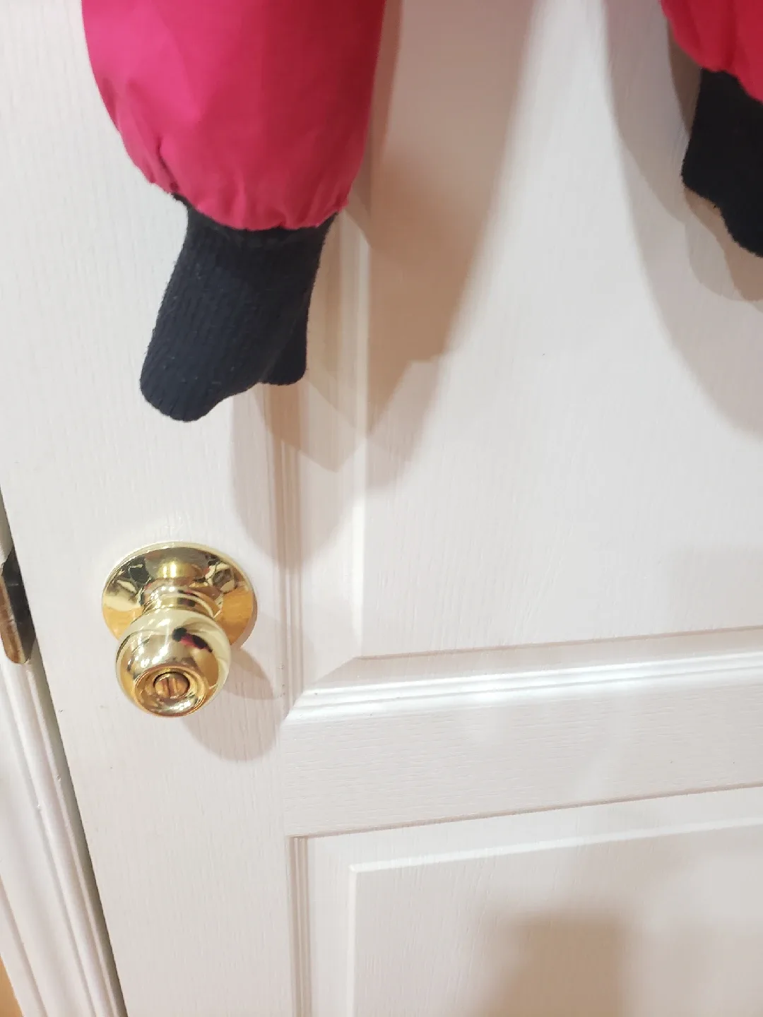 Moose Knuckles Bomber Jacket - Size M image indicator(5)