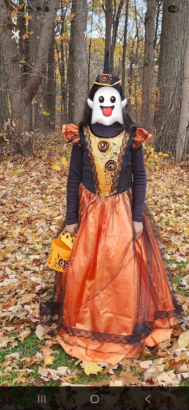 Halloween Witch Costume - photo 2